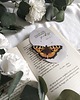 zakładki do książek Zakładka do książki z cytatem religijna na prezent motyl
