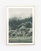 plakaty forest fog fotografia plakat