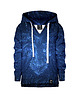 bluzy dla chłopców Bluza Lew Laser