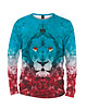bluzy męskie Koszulka Longsleeve Męska DR.CROW Lion Triangle