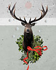plakaty Plakat Reindeer Day WINTER