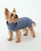 ubranka dla zwierząt Sweterek dla psa Soffo Azzurro z wełną i domieszką kaszmiru
