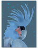 obrazy i plakaty do pokoju dziecięcego Plakat dziecięcy   Blue Parrot