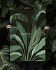 plakaty Grafika  50x70 cm