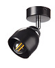 plafony Plafon Sufitowy - Lampa Sufitowa Regulowana