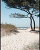 plakaty Plakat "Piaszczysta ścieżka na plażę"