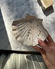 mydelniczki Ceramiczna Mydelniczka z Odpływem Muszelka Muszla Biała w Czarne Ciapki