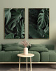 fotografia DWA PLAKATY galeria botaniczne monstera