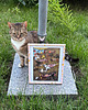 grafiki i ilustracje Cat Cafe Art Print  Whimsical Feline Coffee Shop Illustration