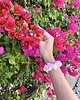 gumki do włosów Jedwabna Scrunchie Pink Rose - mini