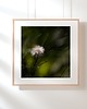 fotografia Fotografia autorska z cyklu "Zwyczajność"