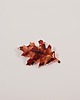 spinki i klamry do włosów Spinka MAPLE w kolorze Chill Red