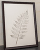 grafiki i ilustracje Minimalistyczna grafika BOTANICZNA w ramie A3. Brązowy Liść Sumaka 30x40 cm