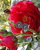 kolczyki wire wrapping Fleur de mort