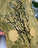 patery i talerze Patera