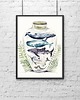 grafiki i ilustracje Ocean w butelce 2 A3