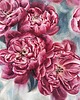 obrazy "Różowe piwonie" 36*51cm/ akwarela