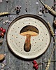patery i talerze Talerz obiadowy ilustrowany, Borowik, Grzyb, Ilustracja Grzyba
