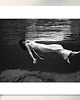 fotografia Fotografia z passe-partout; Źródło Weeki Wachee, Floryda