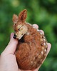 misie i maskotki Śpiąca Sarenka- Waldorf Toy