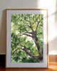obrazy Akwarela Korona drzew oryginalny obraz 300g 23x30 cm