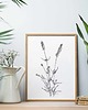 grafiki i ilustracje Lawenda 21x30