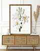 plakaty Plakat White flowers