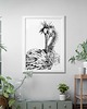 grafiki i ilustracje Pelikan 50x70