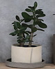 doniczki Doniczka ceramiczna