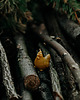 świece zapachowe Świeca woskowa kokoszka (7,5 cm)