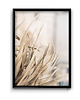 plakaty Plakat Morskie Trawy No.2