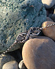bransoletki srebrne Nature Forever