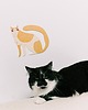 plakaty Plakat Muffin the cat  - dekoracja ścienna
