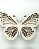 lampy do pokoju dziecka Oryginalna drewniana lampka MOTYL nude.