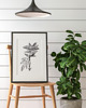 grafiki i ilustracje PLAKAT szkic botaniczny, polne kwiaty grafika, rycina zioła