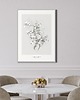 grafiki i ilustracje Jaśmin  print 50x70 cm