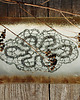 patery i talerze patera