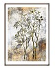 plakaty Polne zioła, botanika, oryginalny plakat 50/70 cm