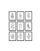 grafiki i ilustracje PLAKATY DO KUCHNI zioła botaniczne grafiki