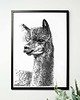 grafiki i ilustracje Lama