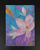 obrazy Magnolia - akwarela i pastela sucha  A4