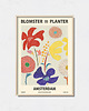 plakaty Plakat botaniczny "Amsterdam"