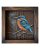 obrazy Ptak zimorodek obraz malowany na desce /1/