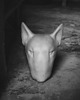 figurki i rzeźby Bullterrier betonowy -  figura - KUFA.design