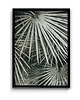 plakaty Plakat Botanic #3