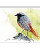 grafiki i ilustracje Akwarela ręcznie malowana "Ptak Kopciuszek"