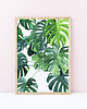 grafiki i ilustracje Monstera - ilustracja botaniczna