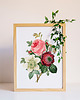 plakaty Plakat Vintage Flowers