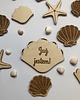 pokój dziecka - różne TABLICZKI Muszelki z miesiącami do zdjęć kartki