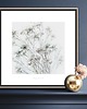 grafiki i ilustracje Gipsówka  kwiaty obraz do domu / Fine Art Pint